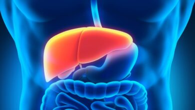 Liver Detox: इन आयुर्वेदिक जड़ी-बूटियों को अपनाएँ, लिवर को डिटॉक्स करने में मदद पायें