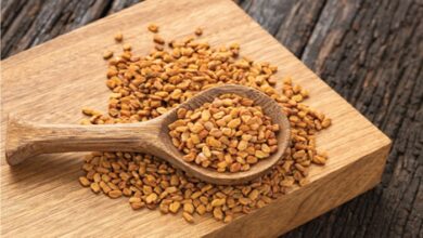 Weight Loss: वजन घटाने का आसान और प्राकृतिक उपाय, हर रोज खाएं ये बीज