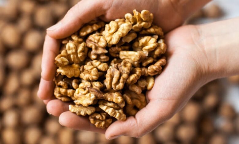 Health Tips: रोज सुबह खाली पेट अखरोट भिगोकर खाने से मिलते हैं ये बड़े फायदे