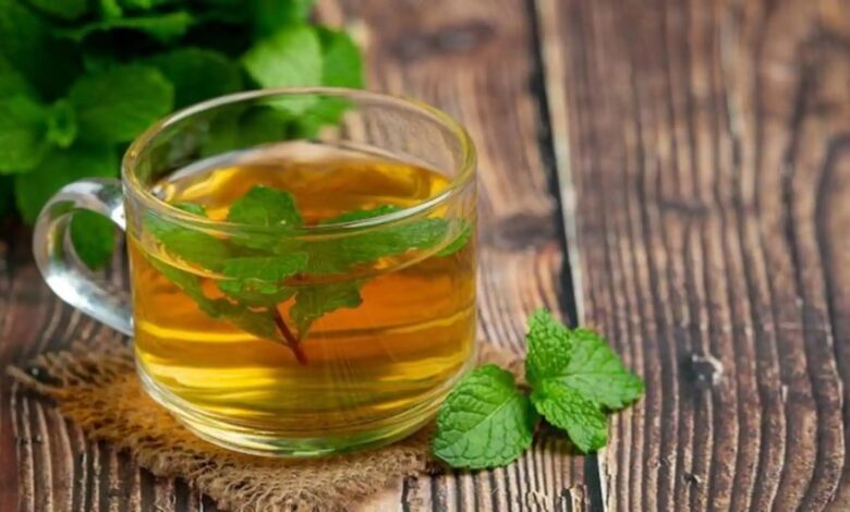 Mint Tea: बदलते मौसम में ये किसी टॉनिक से कम नहीं ये चाय, मिलेंगे कई फायदे