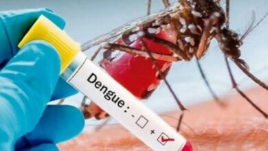 Dengue: डेंगू से करना है खुद को रिकवर, जानें क्या खाएं और क्या न खाएं?