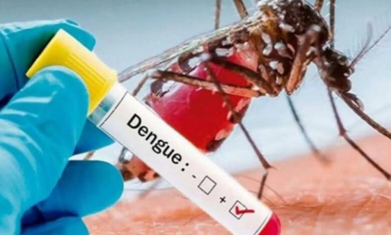 Dengue: डेंगू से करना है खुद को रिकवर, जानें क्या खाएं और क्या न खाएं?