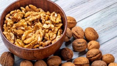Foods to Increase Fertility: स्पर्म काउंट को है बढ़ाना, डाइट में इन चीजों को शामिल करें