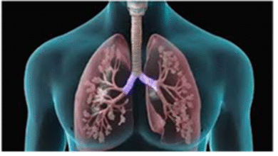 Lungs Care: आपके किचन में ही हैं लंग्स को हेल्दी बनाने वाली ये चीजें, जानिए इनके बारे में