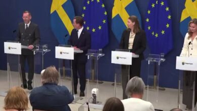 प्रेस कॉन्फ्रेंस में गिर पड़ीं Sweden Health Minister, जानें किन वजहों से अचानक आता है चक्कर