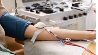 Blood Platelets: प्लेटलेट्स बढ़ाने के लिए बेहद कारगर हैं ये चार चीजें, जरूर जानें