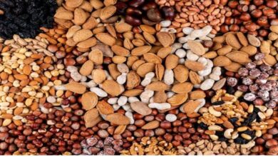 Dry Fruits: सर्दियों में कौनसे ड्राई फ्रूट खाने से शरीर को मिलेगी गर्मी, यहां जानिए सबकुछ