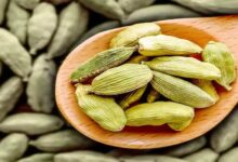 Cardamom: 2 इलायची रोज चबाएं, शरीर में कई सकारात्मक बदलाव पाएं
