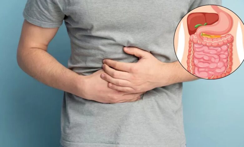 Digestive Health: पेट की गैस और अपच से मिलेगा छुटकारा, ये 6 चीज़ें सबसे फायदेमंद चीजें