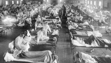 Flu Outbreak: जापान में महामारी ने मचाया हड़कंप, क्या भारत में भी पैर पसार सकता है ये फ्लू?