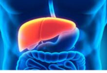 Liver Detox: ये पांच हरी सब्जियां हैं बड़े काम की, फायदे जानकर आप भी कर लेंगे डाइट में शामिल