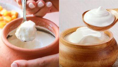 दही के साथ चीनी मिलाएं या फिर नमक मिलाकर खाएं, जानिए सही तरीका