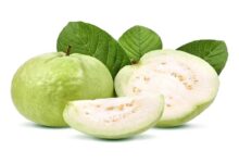 Benefits of Guava: रोज अमरूद खाने से क्या होगा? जानिए जबरदस्त फायदे