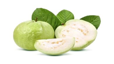 Benefits of Guava: रोज अमरूद खाने से क्या होगा? जानिए जबरदस्त फायदे