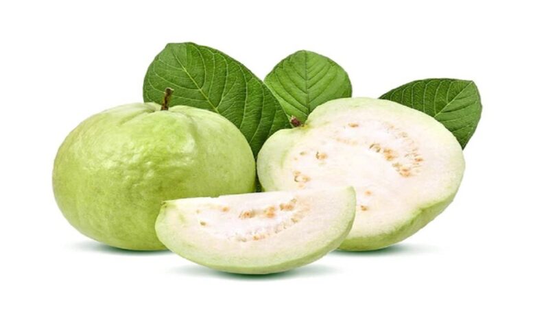 Benefits of Guava: रोज अमरूद खाने से क्या होगा? जानिए जबरदस्त फायदे