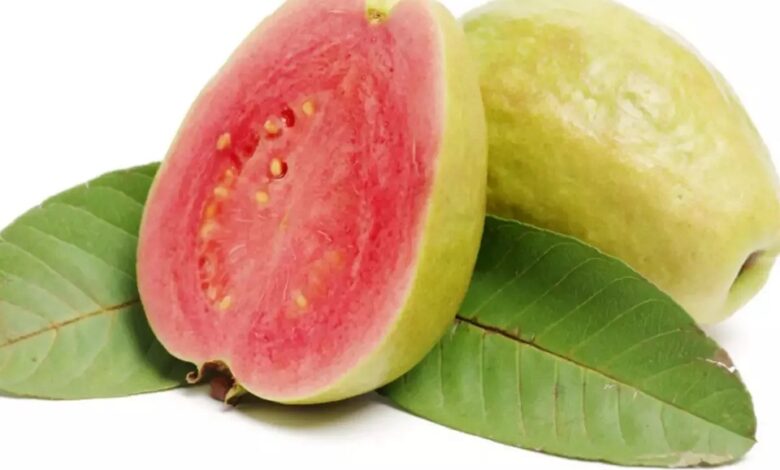 Health Tips: जानिए, कब अमरूद खाना सेहत के लिए सबसे ज्यादा होता है फायदेमंद?