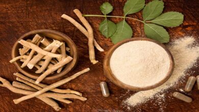 Ashwagandharishta: ये औषधि है ब्रह्मास्त्र, मिलेगी इतनी ताकत कि शरीर में आएगी जान!