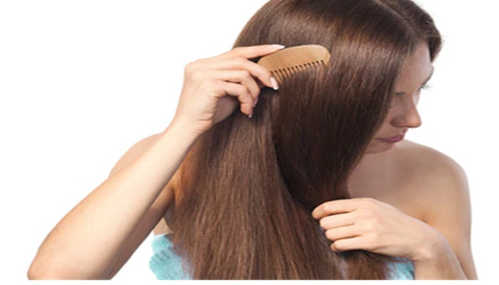 Hair Growth: बालों की लंबाई तेजी से है बढ़ाना? ये 5 असरदार आयुर्वेदिक उपायों को अपनाइए