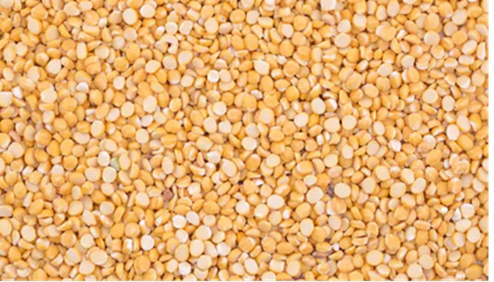 चने की दाल का सेवन करने से रग-रग में भर जाएगी एनर्जी; जानिए इसके फायदे