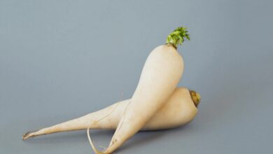 Radish Eating: मूली के साथ भूलकर भी न खाएं ये चीजें, फायदे की बजे होगा भारी नुक्सान