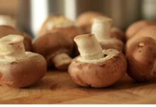 डाईट में शामिल करें Mushroom, वजन घटाने से लेकर इम्युनिटी बढ़ाने तक हैं इसके लाभ