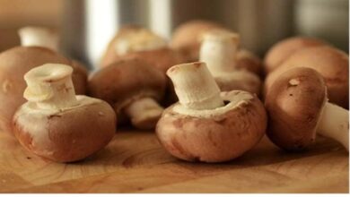 डाईट में शामिल करें Mushroom, वजन घटाने से लेकर इम्युनिटी बढ़ाने तक हैं इसके लाभ