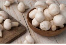 Mushroom in Winter: इस सब्जी में कूट-कूटकर भरा हैं विटामिन-D, इम्यूनिटी के लिए पावरहाउस