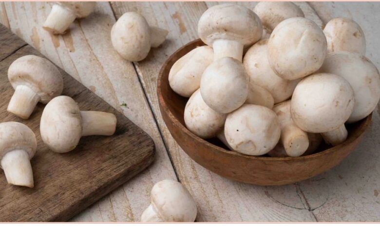 Mushroom in Winter: इस सब्जी में कूट-कूटकर भरा हैं विटामिन-D, इम्यूनिटी के लिए पावरहाउस