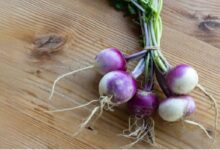 Shalgam: सर्दी में इस सब्जी को खाने से शरीर को मिलेंगे 3 चमत्कारी फायदे, जानकर हो जायेंगे हैरान