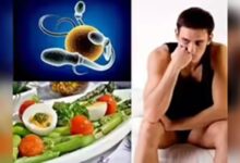 Natural Power Booster: ये 5 चीजें खाना शुरू कर दें पुरुष, मिलेगी घोड़े जैसी ताकत