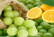आंवला और नींबू में क्या है ज्यादा फायदेमंद? किसमें अधिक पाया जाता है विटामिन सी, जानें