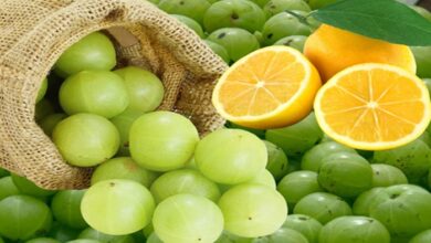 आंवला और नींबू में क्या है ज्यादा फायदेमंद? किसमें अधिक पाया जाता है विटामिन सी, जानें