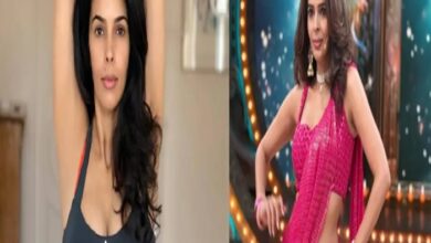 Yoga Fitness: एक्ट्रेस मल्लिका शेरावत कैसे बॉडी को रखती हैं फिट? कैसे दिन भर रहती हैं एनर्जी से भरपूर? जानिए