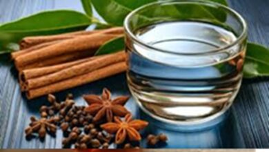 Dalchini: वजन घटाने के लिए दालचीनी का पानी है बढ़िया आप्शन, बस जान लें ले बातें