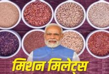 मिलेट्स है 'सुपरफूड', जानिए क्यों इसे माना जाता है इतना फायदेमंद? PM Modi भी कर चुके हैं तारीफ
