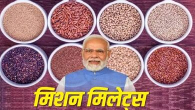 मिलेट्स है 'सुपरफूड', जानिए क्यों इसे माना जाता है इतना फायदेमंद? PM Modi भी कर चुके हैं तारीफ