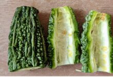 Bitter Gourd: इन बीमारियों से जूझ रहे हैं तो जरूर खाएं करेला, हफ्ते भर में दिखने लगेगा असर