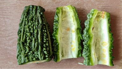 Bitter Gourd: इन बीमारियों से जूझ रहे हैं तो जरूर खाएं करेला, हफ्ते भर में दिखने लगेगा असर