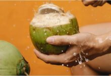 Nariyal Pani: प्राकृतिक अमृत है नारियल पानी, जान लें पीने का सही समय और तरीका