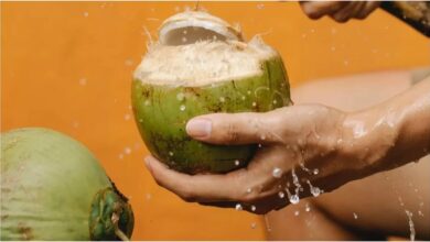 Nariyal Pani: प्राकृतिक अमृत है नारियल पानी, जान लें पीने का सही समय और तरीका