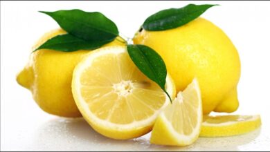 Lemon: खाने में नींबू निचोड़ कर खाने से मिलते हैं ये जबरदस्त फायदे, आप भी जानिए