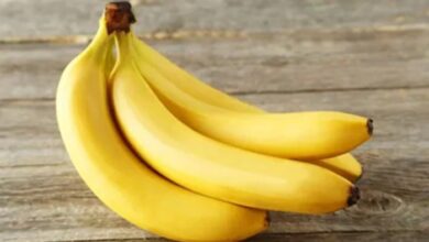 Banana Benefits: पेट के लिए केला है अमृत, रोज एक केला खाने से डॉक्टर से रहेंगे दूर