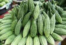 Bitter Gourd: शुगर और इंफेक्शन दोनों कम करता है करेला, इन सावधानियों का भी रखें ध्यान
