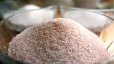 Health Tips: सेंधा या आयोडाइज्ड नमक, कौन-सा है अधिक फायदेमंद? जानें