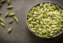 Cardamom: रोज रात को सोने से पहले चबा लें एक हरी इलायची, दूर होंगी सेहत से जुड़ी कई समस्याएं
