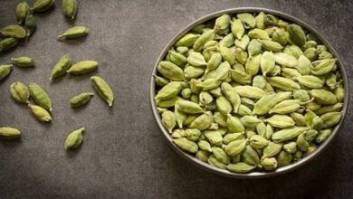 Cardamom: रोज रात को सोने से पहले चबा लें एक हरी इलायची, दूर होंगी सेहत से जुड़ी कई समस्याएं