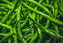 Green Chili: मेटाबॉलिज्म को करना है बेहतर, जरूर खाएं हरी मिर्च