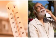 Heat Waves: इस साल बढ़ेगा गर्मी का कहर, हीटवेव से बचने के लिए अपना सकते हैं ये टिप्स