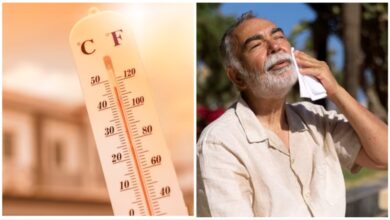 Heat Waves: इस साल बढ़ेगा गर्मी का कहर, हीटवेव से बचने के लिए अपना सकते हैं ये टिप्स