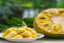 Kathal: जानें किन चार लोगों को जरूर करना चाहिए कटहल सेवन!